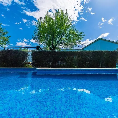 Ideal Mallorca - Flauta * Сельва
