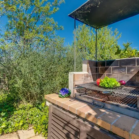 Country house Ideal Mallorca - Flauta Selva (Mallorca)