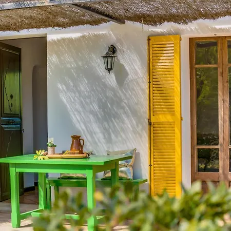 Country house Ideal Mallorca - Flauta Selva (Mallorca)